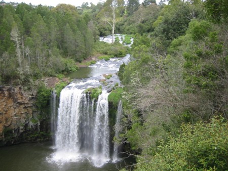 Dangar Falls, Dorrigo