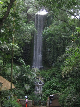Jurong Bird Park Waterfall