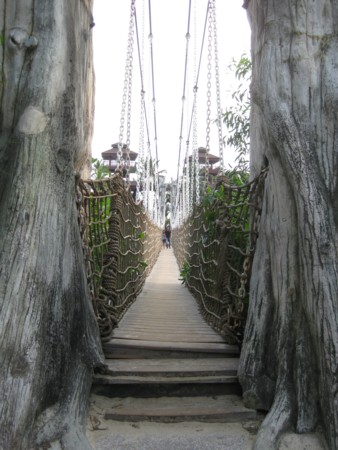 Suspension Bridge to the Island